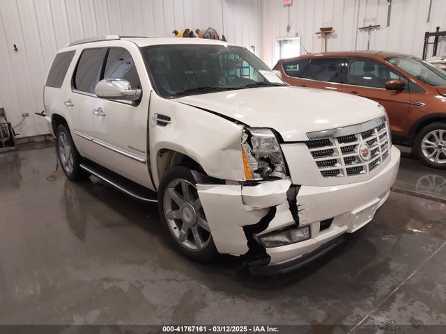 2010 CADILLAC ESCALADE 1GYUKBEF3AR170784 Photo 0