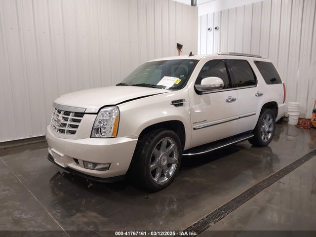 2010 CADILLAC ESCALADE 1GYUKBEF3AR170784 Photo 1