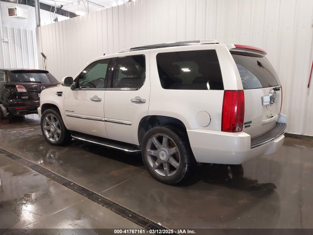 2010 CADILLAC ESCALADE 1GYUKBEF3AR170784 Photo 2