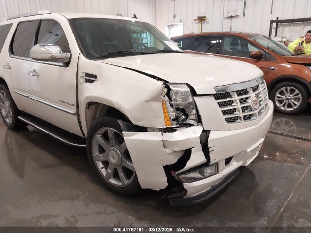 2010 CADILLAC ESCALADE 1GYUKBEF3AR170784 Photo 5