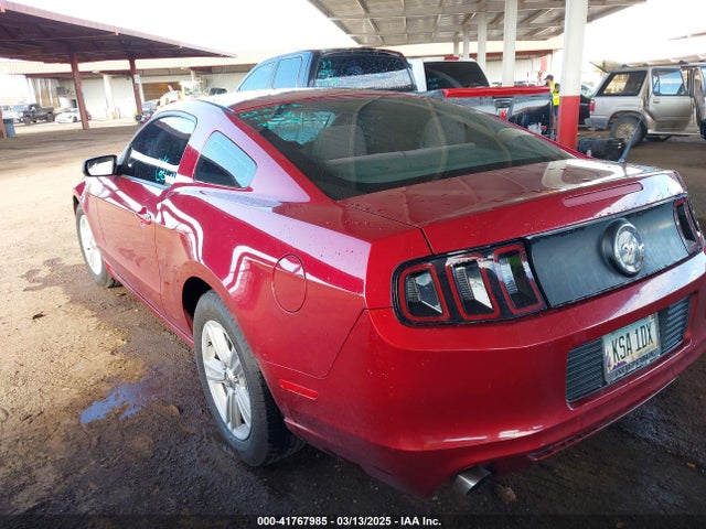1ZVBP8AM9E5252762 Ford Mustang V6