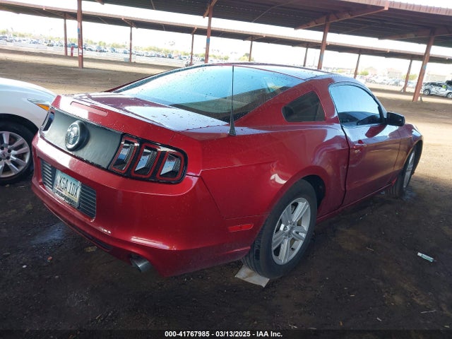 1ZVBP8AM9E5252762 Ford Mustang V6