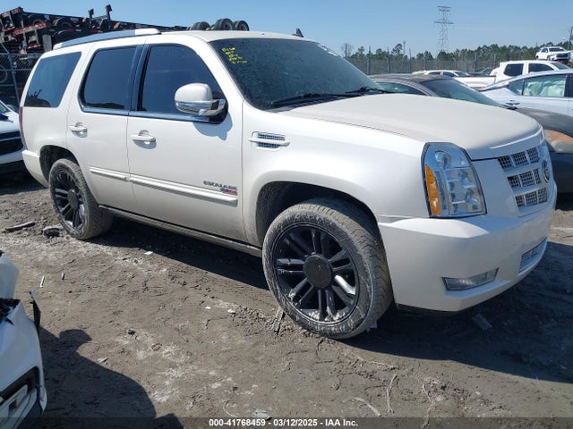 2013 CADILLAC ESCALADE 1GYS4CEF1DR177728 Photo 0