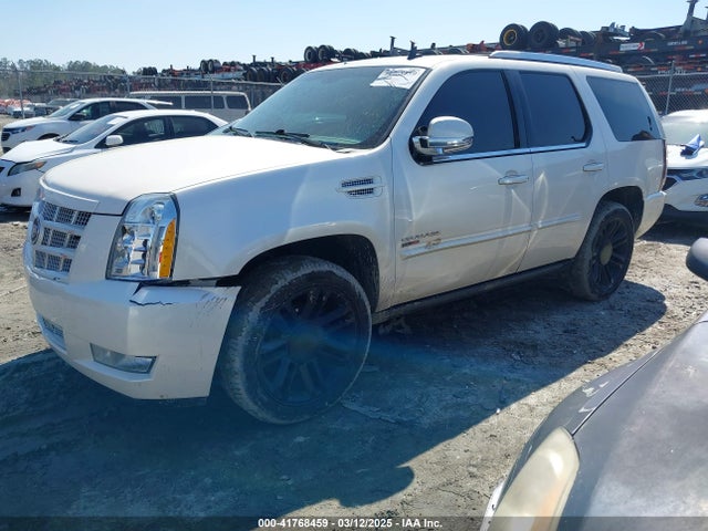 2013 CADILLAC ESCALADE 1GYS4CEF1DR177728 Photo 1