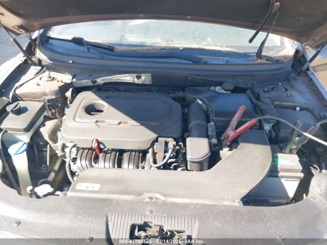 5NPE24AF0GH344502 Hyundai SONATA SE