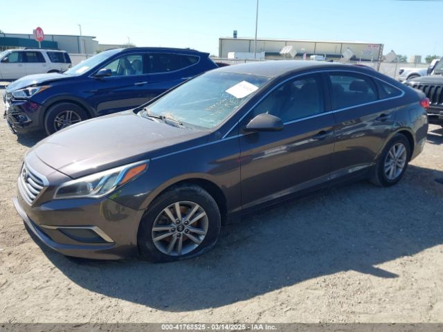 5NPE24AF0GH344502 Hyundai SONATA SE