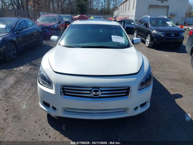 1N4AA5AP4EC440390 Nissan Maxima 3.5 S