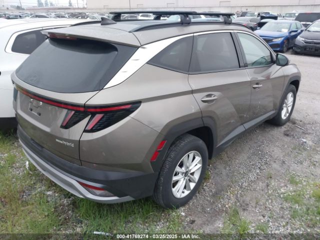 KM8JEDD16SU250494 Hyundai Tucson Hybrid Limited