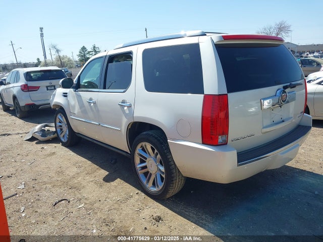 2010 CADILLAC ESCALADE 1GYUKDEF3AR151907 Photo 2