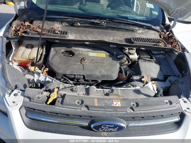 Ford ESCAPE SE 2014 1FMCU0GX2EUB70134 Image 10