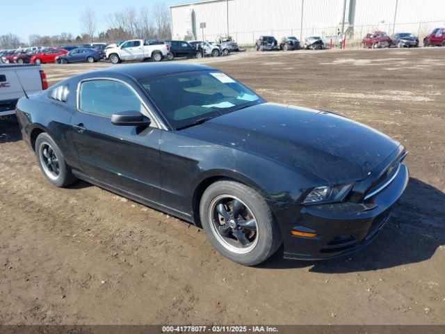 2013 FORD MUSTANG 1ZVBP8AM3D5235860