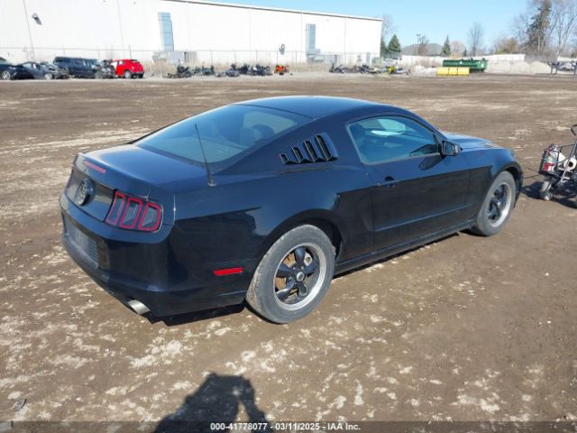 2013 FORD MUSTANG 1ZVBP8AM3D5235860 Photo 3