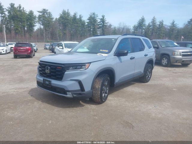 5FNYG1H63RB010288 Honda Pilot Trailsport