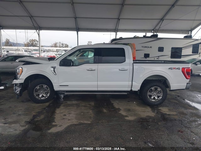 1FTFW1ED7NFB06461 Ford F-150 Xlt