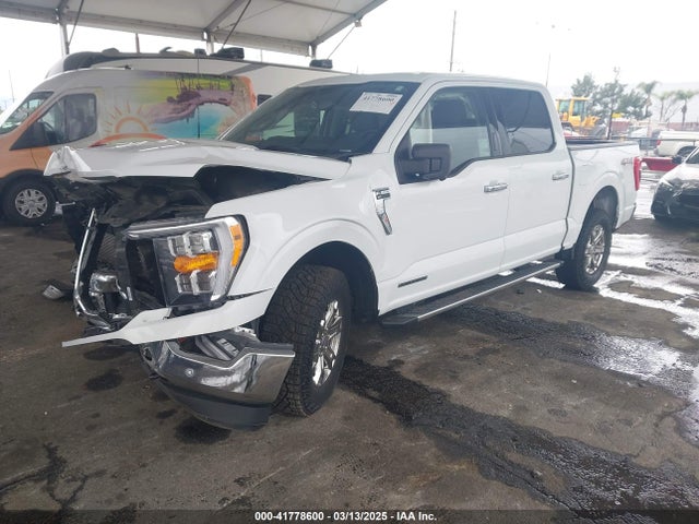 1FTFW1ED7NFB06461 Ford F-150 Xlt