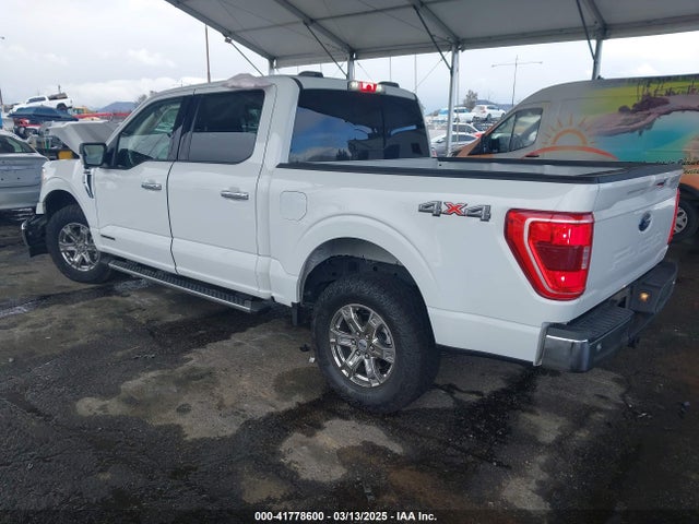 1FTFW1ED7NFB06461 Ford F-150 Xlt