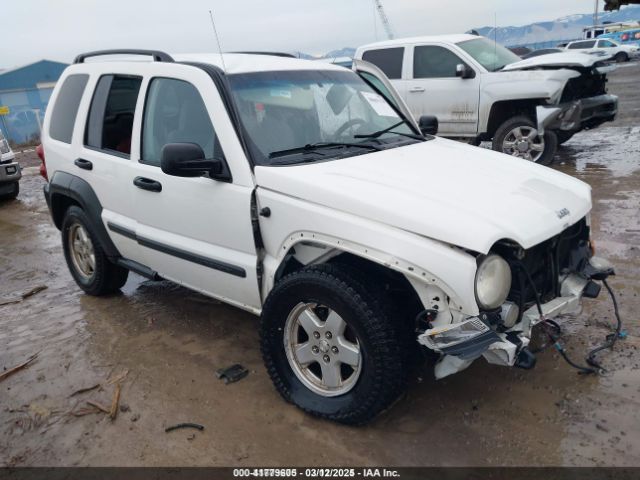 2006 JEEP LIBERTY 1J4GL48K86W283816