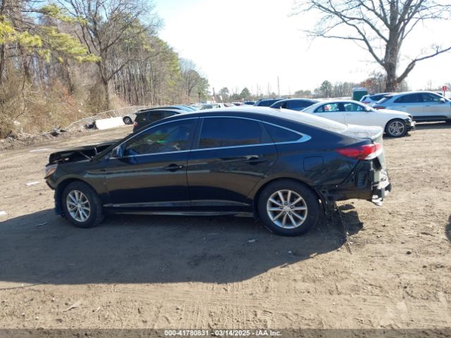 5NPE24AF9JH704843 Hyundai SONATA SE