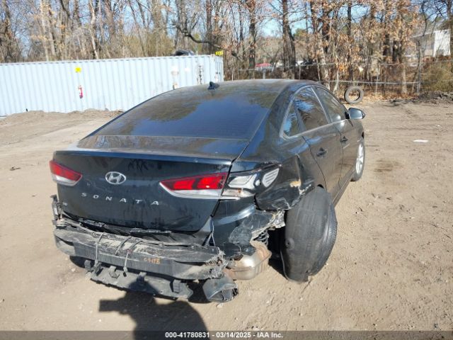 5NPE24AF9JH704843 Hyundai SONATA SE