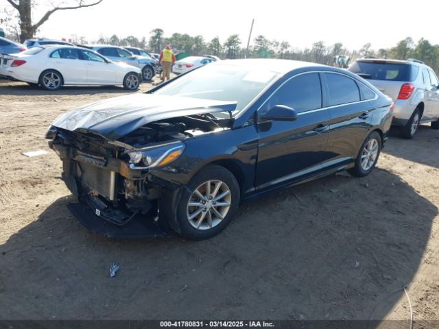 5NPE24AF9JH704843 Hyundai SONATA SE