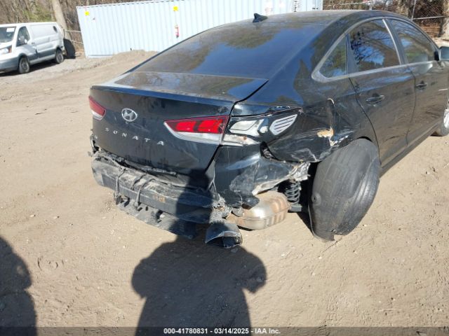 5NPE24AF9JH704843 Hyundai SONATA SE