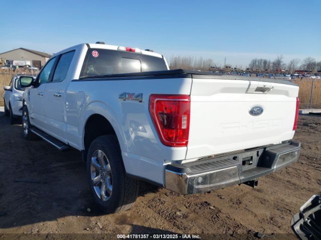 1FTFW1ED5PFA32167 Ford F-150 Xlt