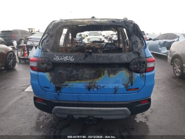 5FNYG1H66RB012987 Honda Pilot Trailsport