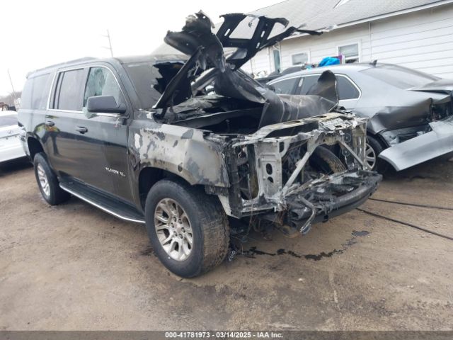 1GKS2GKC9GR166658 auction archive image
