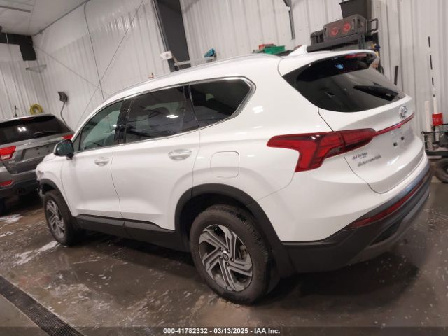 5NMS2DAJ1PH519716 Hyundai Santa Fe Sel