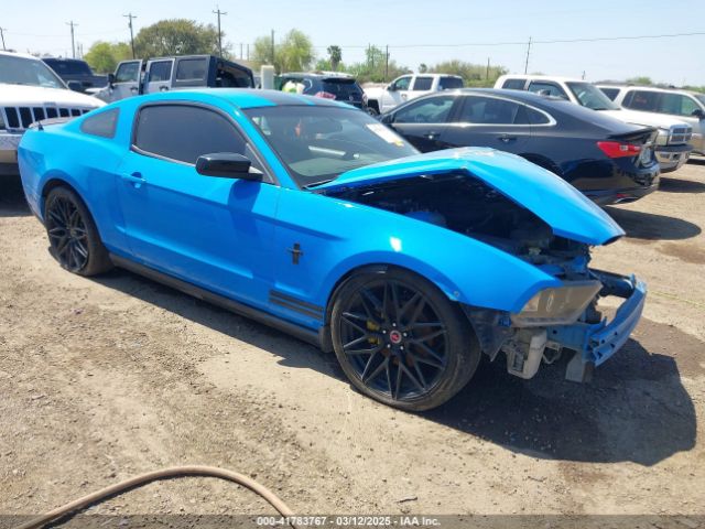 2011 FORD MUSTANG 1ZVBP8AM3B5151860