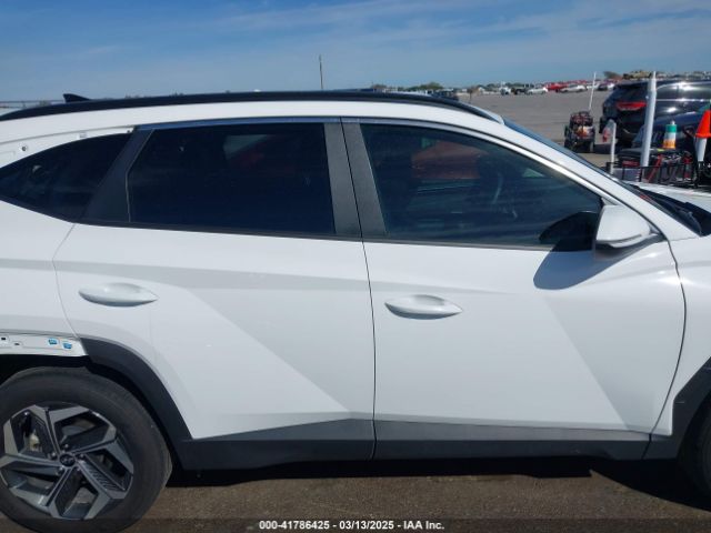 5NMJF3DE6RH436407 Hyundai TUCSON SEL