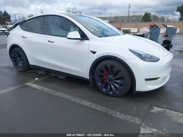2021 TESLA MODEL Y 5YJYGDEFXMF230350 Photo 0