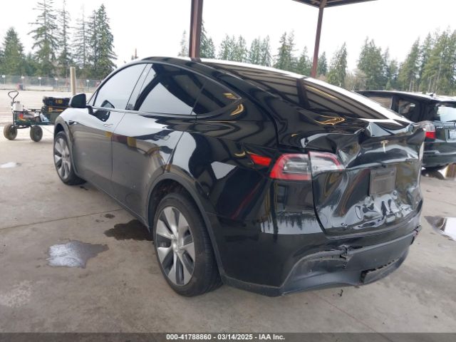 2023 TESLA MODEL Y 7SAYGDEE4PF789102 Photo 2