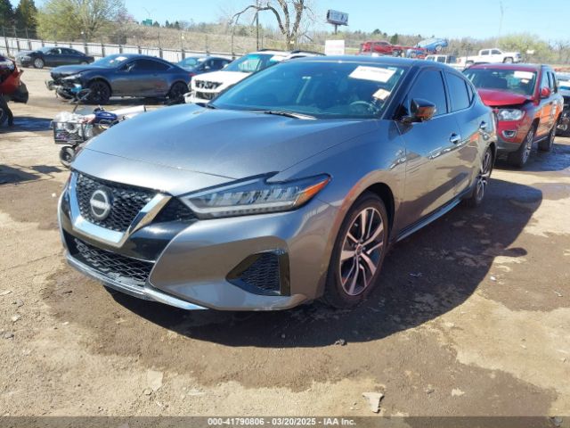 1N4AA6CV4PC513780 Nissan Maxima Sv Xtronic Cvt