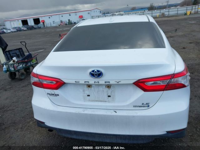 4T1B31HK4KU513240 Toyota Camry Hybrid Le