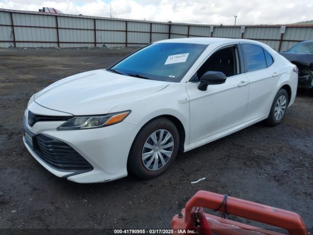 4T1B31HK4KU513240 Toyota Camry Hybrid Le