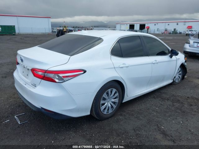 4T1B31HK4KU513240 Toyota Camry Hybrid Le