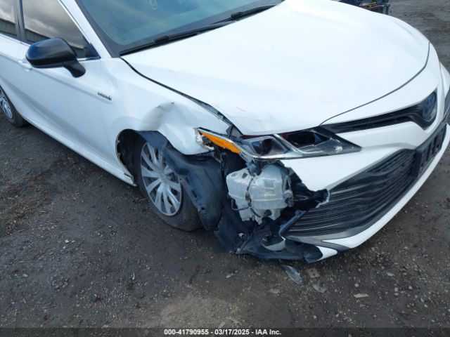 4T1B31HK4KU513240 Toyota Camry Hybrid Le