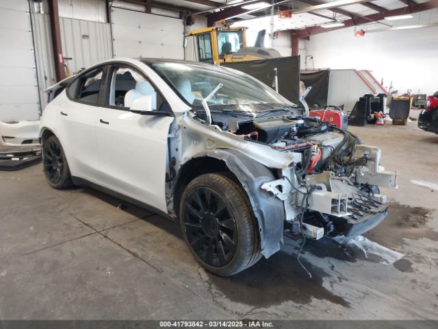 2021 TESLA MODEL Y 5YJYGAEE1MF216200