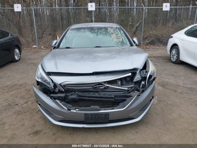 5NPE24AF4HH486899 Hyundai Sonata