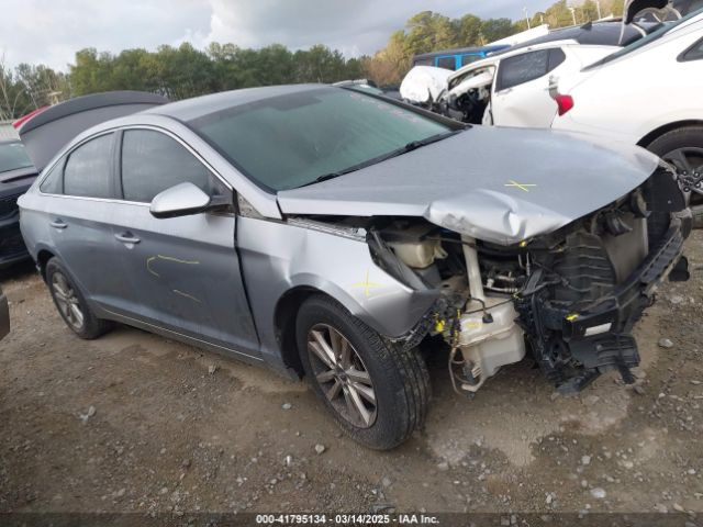 5NPE24AF3HH516202 Hyundai Sonata