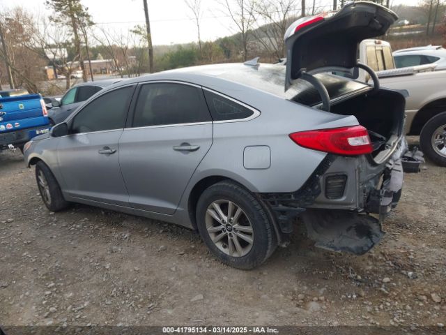 5NPE24AF3HH516202 Hyundai Sonata