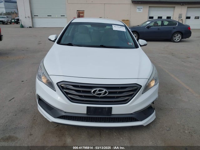 5NPE34AF8GH266368 Hyundai Sonata Sport