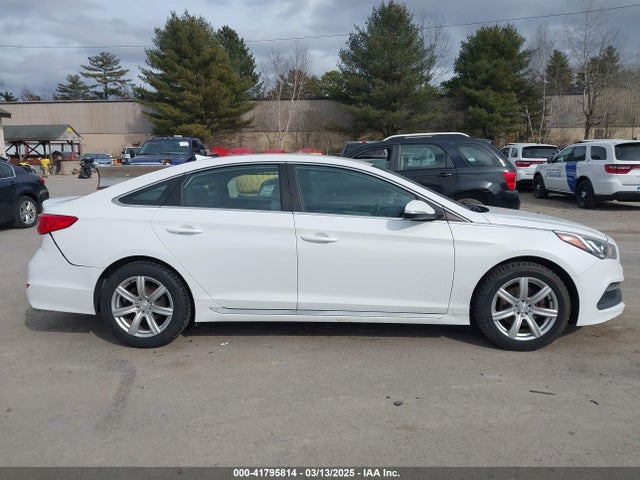 5NPE34AF8GH266368 Hyundai Sonata Sport