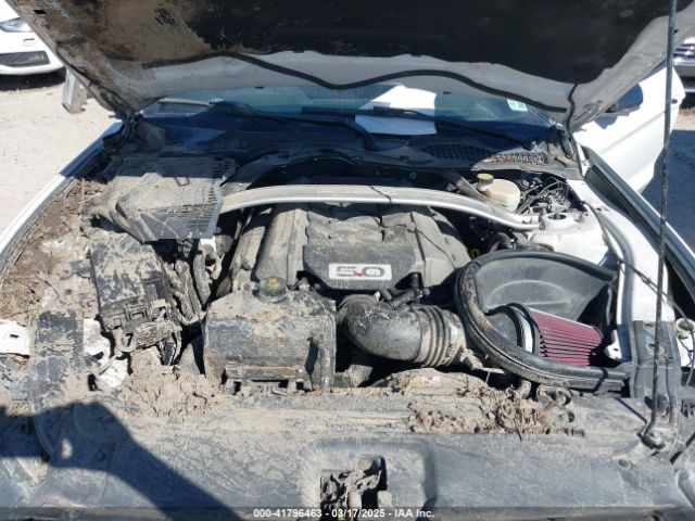 1FA6P8CF1G5264836 Ford Mustang Gt Premium