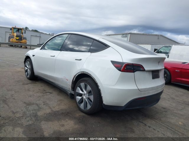 2023 TESLA MODEL Y 7SAYGDEE4PF621640 Photo 2