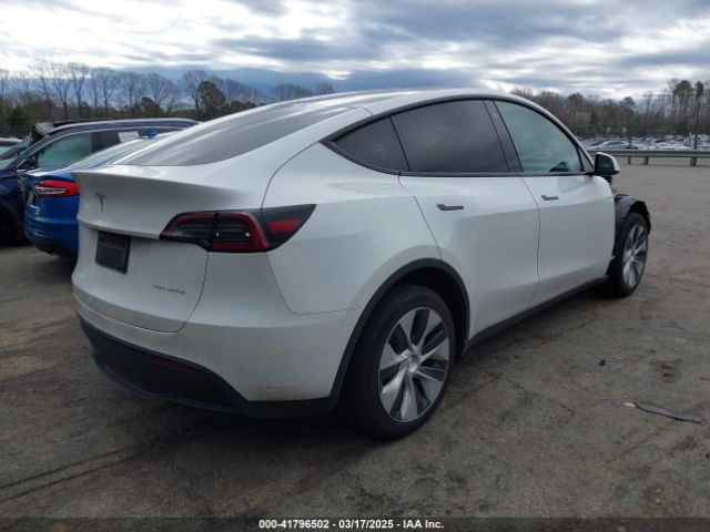 2023 TESLA MODEL Y 7SAYGDEE4PF621640 Photo 3