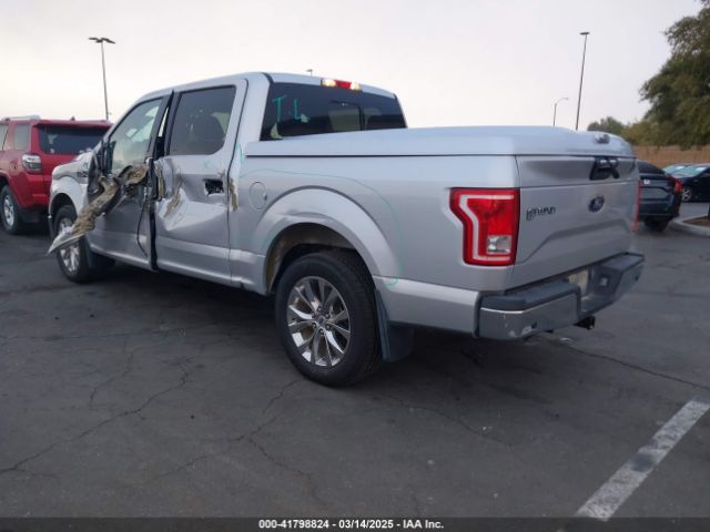 1FTEW1CG4FKF06463 Ford F-150 Xlt