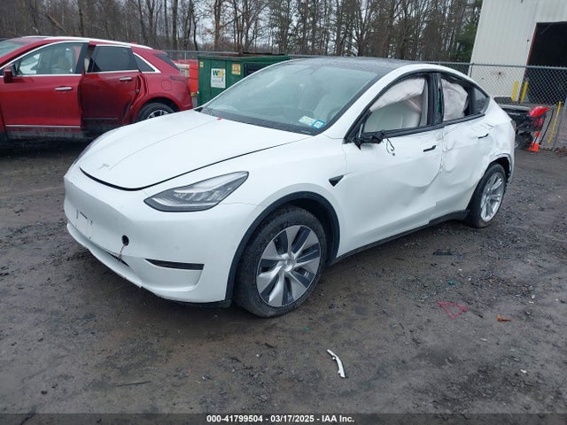 2020 TESLA MODEL Y 5YJYGDEE4LF044843 Photo 1