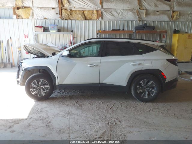 KM8JBCA1XNU029511 Hyundai Tucson Hybrid Blue